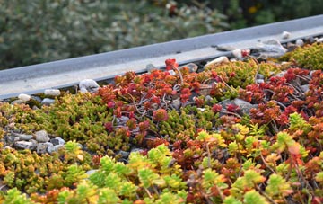 the cost of Comrie green roof installation