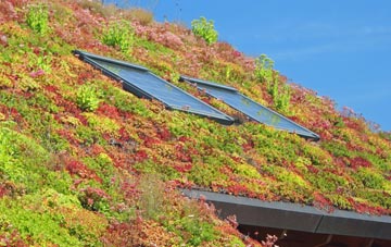 Comrie living roof systems