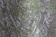 Comrie fibreglass roof work